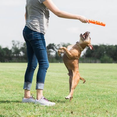 Image showing  Chuckit! Breathe Right Fetch Stick Dog Toys