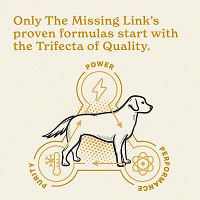 Image showing  Original Skin and Coat Powder Supplement for Dogs