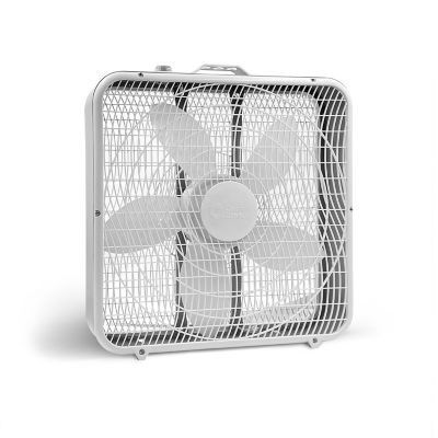 Box Fans