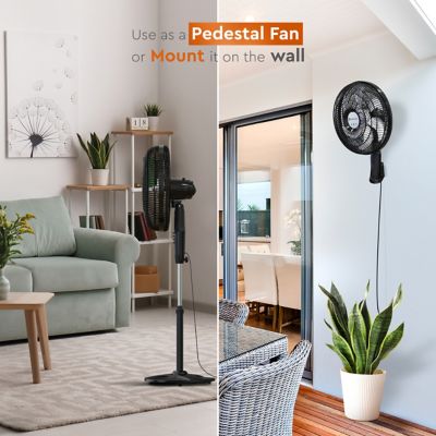 Comfort Zone 18 In Oscillating Pedestal Fan 6 Blades All Copper Motor Czst180bs At Tractor Supply Co