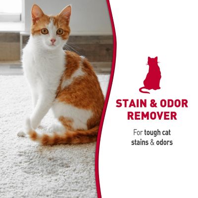 Image showing  Cat Stain and Odor Remover, 17.5 oz. Foam Aerosol