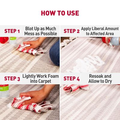 Image showing  Cat Stain and Odor Remover, 17.5 oz. Foam Aerosol