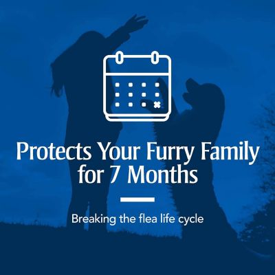 Image showing  Flea and Tick Control Household and Carpet Spray, 16 oz.