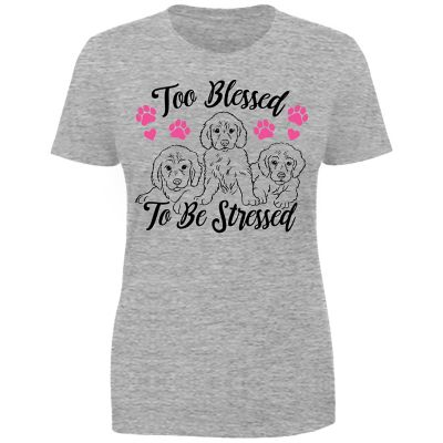 Goodie Two Sleeves Women's Too Blessed T-Shirt
