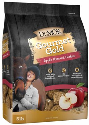 DuMOR Gourmet Gold Apple Flavor Cookies Horse Treats, 5 lb
