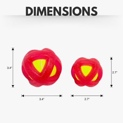 Image showing  Large and Small Dog Agility Tennis Balls Dog Chew Toys