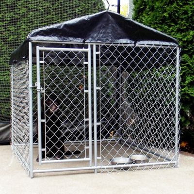 4 foot high dog kennel