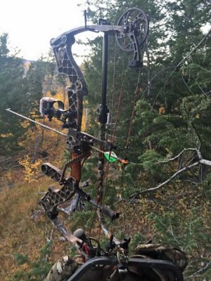 Image showing  Tree Stand Bow Hanger