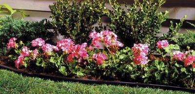 Image showing  60 ft. Eco Edge Professional Garden Edging