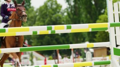 Image showing  Premium Medicated Horse Poultice, 45 lb.