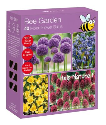 National Plant Network Multicolor Bee Garden Nature-Friendly Plant Collection