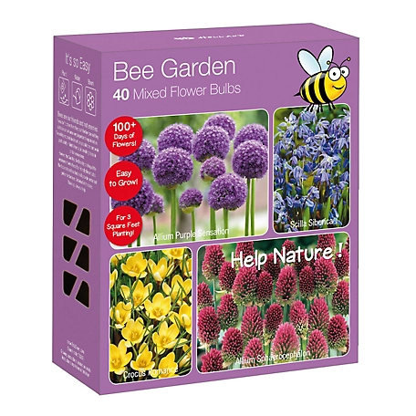 National Plant Network Multicolor Bee Garden Nature-Friendly Plant Collection
