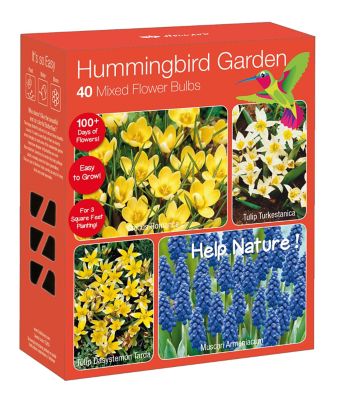 National Plant Network Multicolor Hummingbird Garden Nature-Friendly Plant Collection