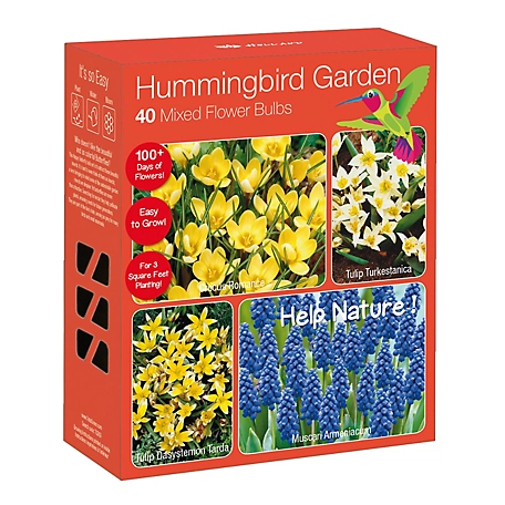 National Plant Network Multicolor Hummingbird Garden Nature-Friendly Plant Collection