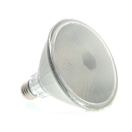 Nexxt PAR38 CCT 110V Single Smart Bulb