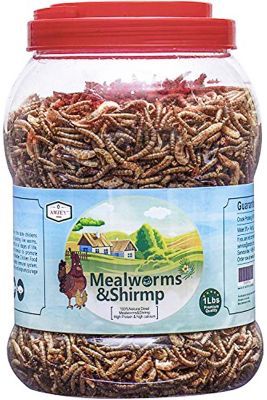 Mealworms Dried Reptile Diet 