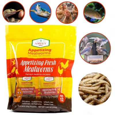 Amzey Fresh Giant Mealworm Reptile Food, 12-Pack