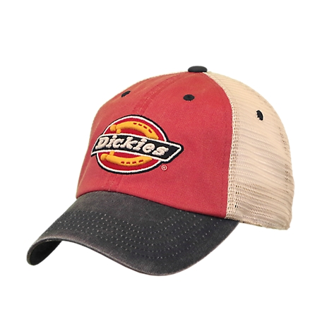 Moralsk uddannelse Etna Advent Dickies Men's Mesh-Back Dad Snapback Baseball Hat at Tractor Supply Co.