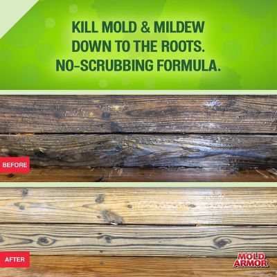 Image showing 5 th Mold Armor 64 oz. Deck Wash H/E