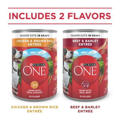 Image showing  Tender Cuts in Gravy Chicken & Beef Variety Pack Wet Dog Food, 13 oz., 6 count