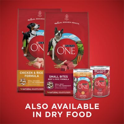 Image showing 9 th Purina ONE Tender Cuts in Gravy Chicken & Beef Variety Pack Wet Dog Food, 13 oz., 6 count