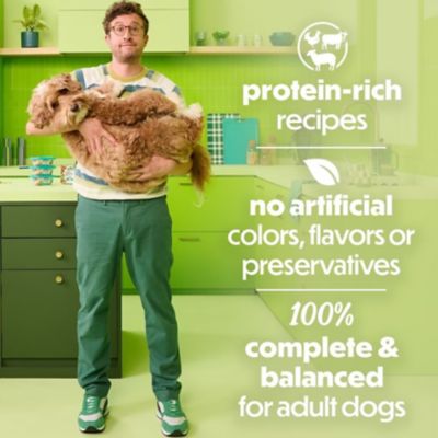 Image showing  Prepared Meals Adult Chicken/Beef/Lamb in Gravy Wet Dog Food Variety Pack, 10 oz., Pack of 12 Tubs