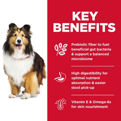 Image showing  Adult Sensitive Stomach and Skin Chicken and Rice Recipe Dry Dog Food