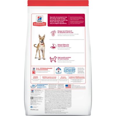 Image showing  Adult Chicken and Barley Recipe Dry Dog Food