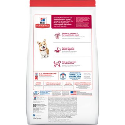 Image showing  Adult Small Bites Chicken and Barley Recipe Dry Dog Food
