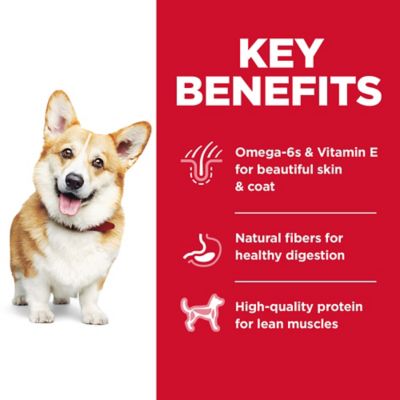 Image showing  Adult Small Bites Chicken and Barley Recipe Dry Dog Food