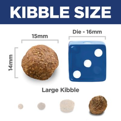 Image showing  Large Breed Adult Chicken and Barley Recipe Dry Dog Food