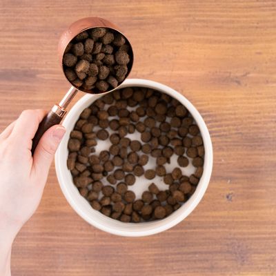 Image showing  All Life Stages Sensitive Skin and Stomach Lamb Recipe Dry Dog Food, 30 lb. Bag