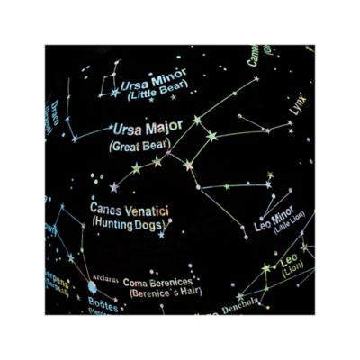 Image showing  2-in-1 Earth and Constellations Glow-in-the-Dark Globe STEM Toy