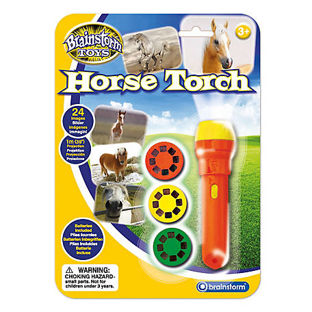 Brainstorm Toys Animal Torch And Projector Educational Game For Kid/Children 