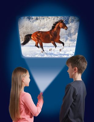 Image showing  Horse Torch Flashlight and Projector with 24 Horse Images