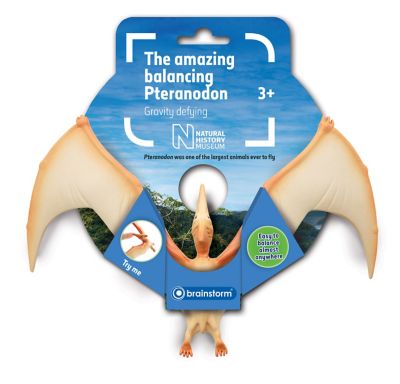 Natural History Museum The Amazing Balancing Pteranodon Gravity Defying Toy, 20.5 cm x 15 cm x 4 cm
