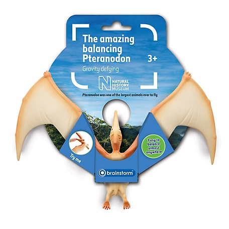 Natural History Museum The Amazing Balancing Pteranodon Gravity Defying Toy, 20.5 cm x 15 cm x 4 cm