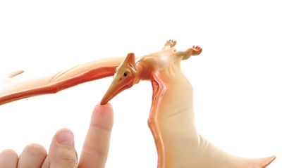 Image showing  The Amazing Balancing Pteranodon Gravity Defying Toy, 20.5 cm x 15 cm x 4 cm