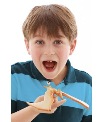 Image showing  The Amazing Balancing Pteranodon Gravity Defying Toy, 20.5 cm x 15 cm x 4 cm