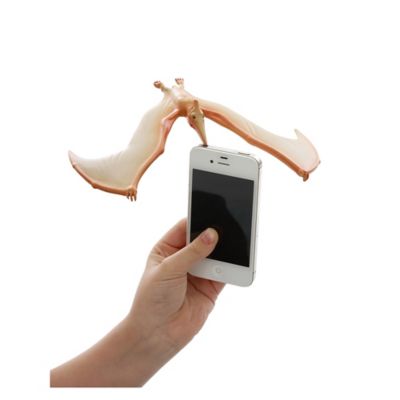 Image showing  The Amazing Balancing Pteranodon Gravity Defying Toy, 20.5 cm x 15 cm x 4 cm