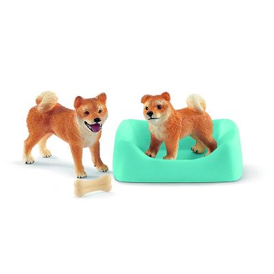 shiba inu supplies