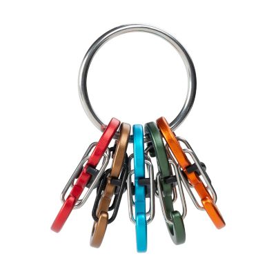 Image showing  KeyRing Locker with Aluminum S-Biner MicroLocks, Assorted