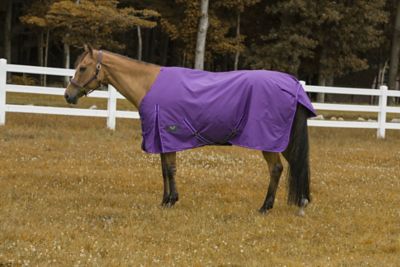 Image showing  Comfy Winter 200g/1200D Polyester Horse Blanket