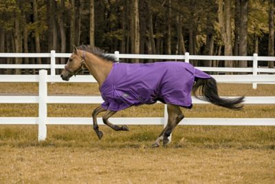 Image showing  Comfy Winter 200g/1200D Polyester Horse Blanket