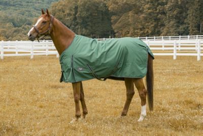 TuffRider Comfy Winter 200g/600D Polyester Horse Blanket