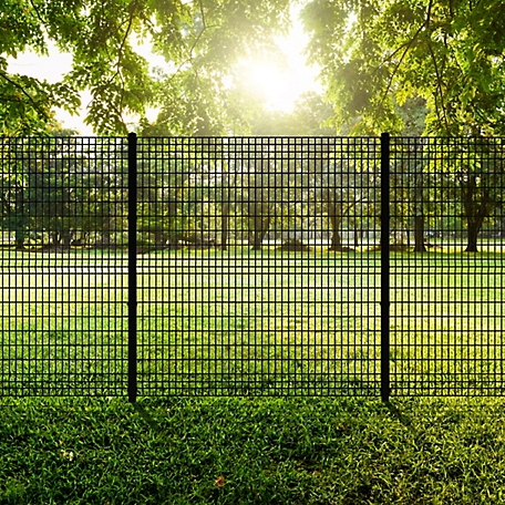 Ironcraft Fences 6 ft. x 6 ft. Euro Steel Fence Panel, Black at Tractor ...