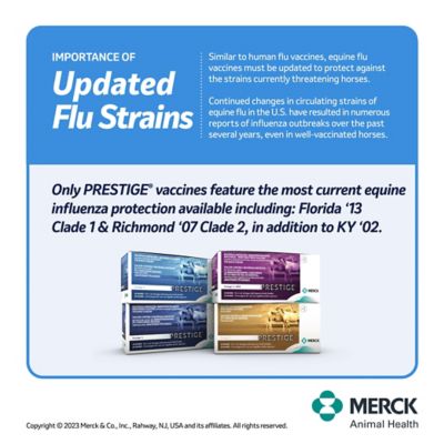 Image showing  5 Plus WNV Vaccine for Horses, 1 Dose, 65638
