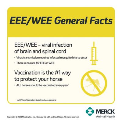 Image showing  5 Plus WNV Vaccine for Horses, 1 Dose, 65638