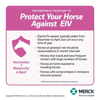 Image showing  5 Plus WNV Vaccine for Horses, 1 Dose, 65638