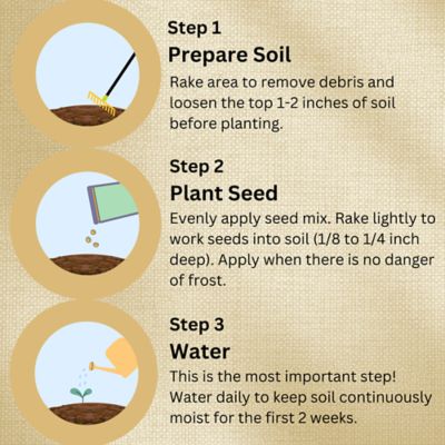 Image showing 8 th Earth Science Butterfly and Hummingbird All-in-One Wildflower Seed Mix, Plant Food, Soil Conditioners & Water Right Crystals